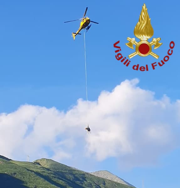 Mucca salvata grazie all’intervento dell’elicottero FOTO