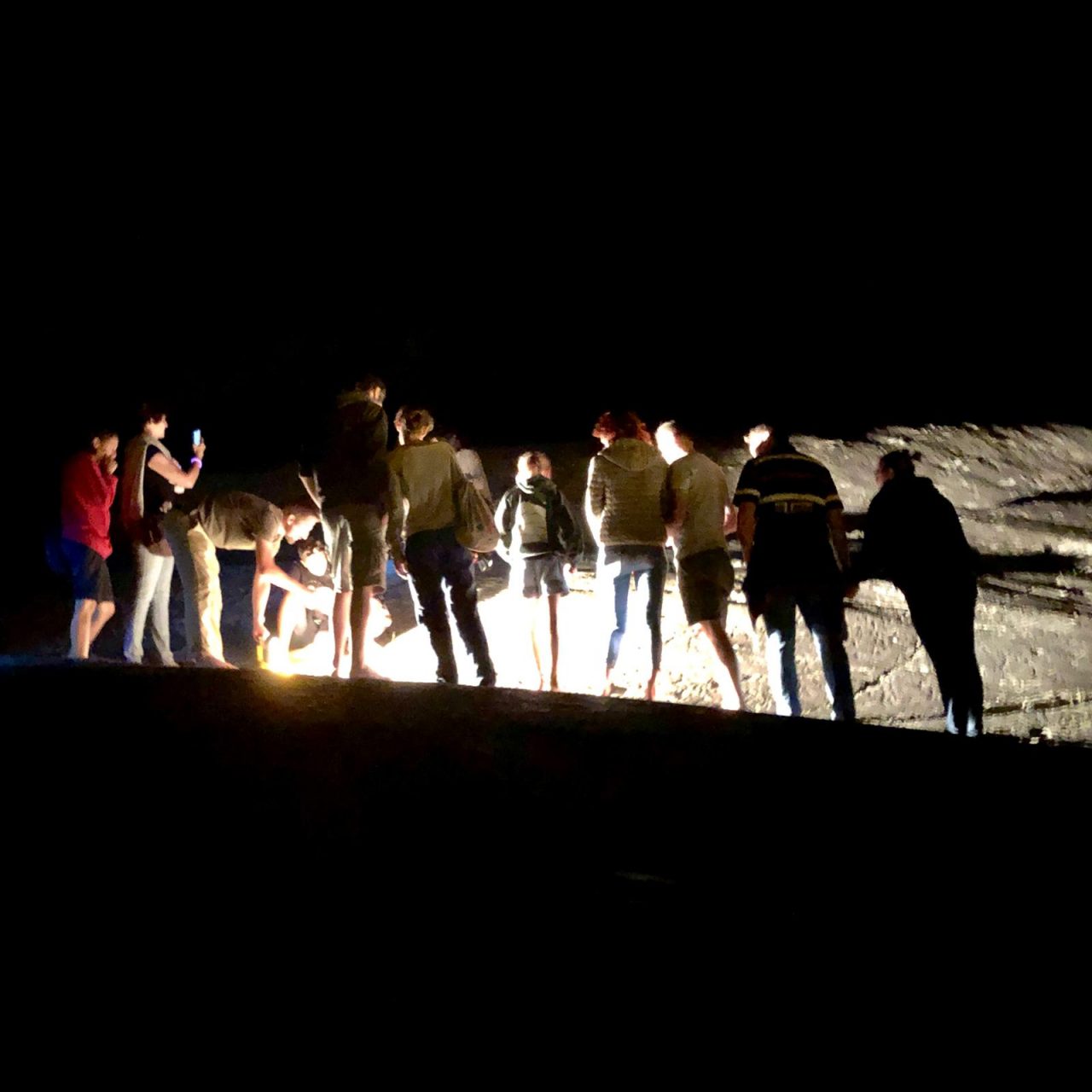Rupestri sotto le stelle 2019