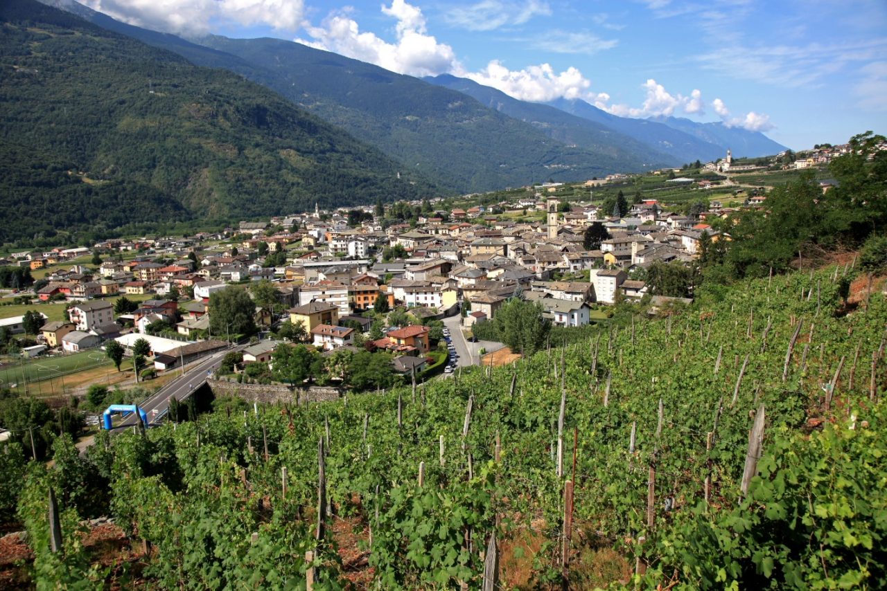 Grappolo d’Oro di Chiuro, si alza il sipario