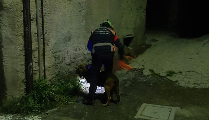 Ragazzo di 29 anni sparisce da casa, ricerche in corso – FOTO