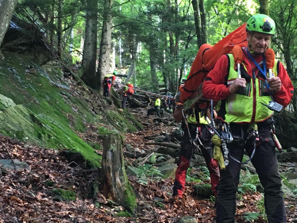 Tragedia nel bosco, cercatore di funghi trovato morto