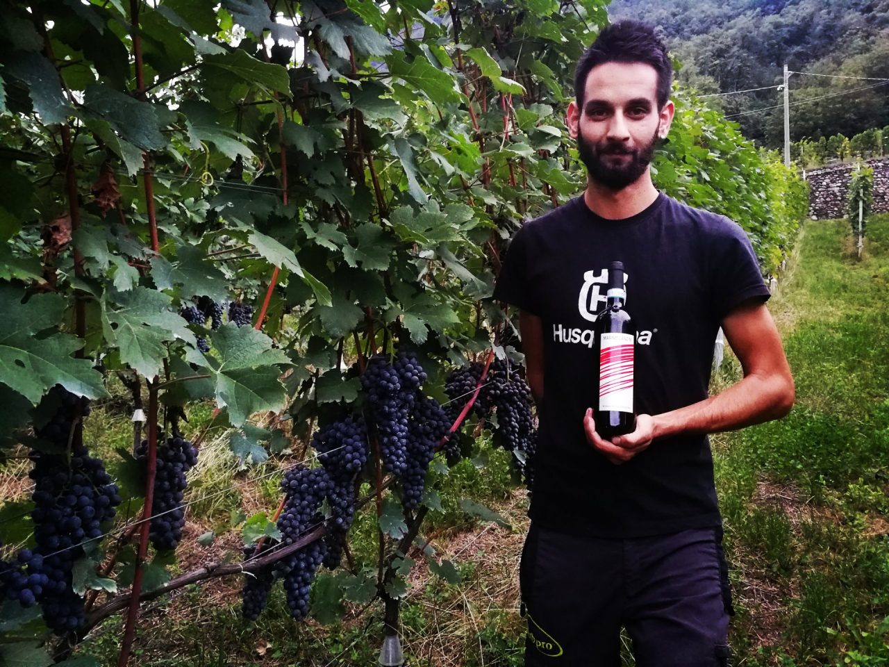 Vino di Ponte tra i “Top” d’Italia