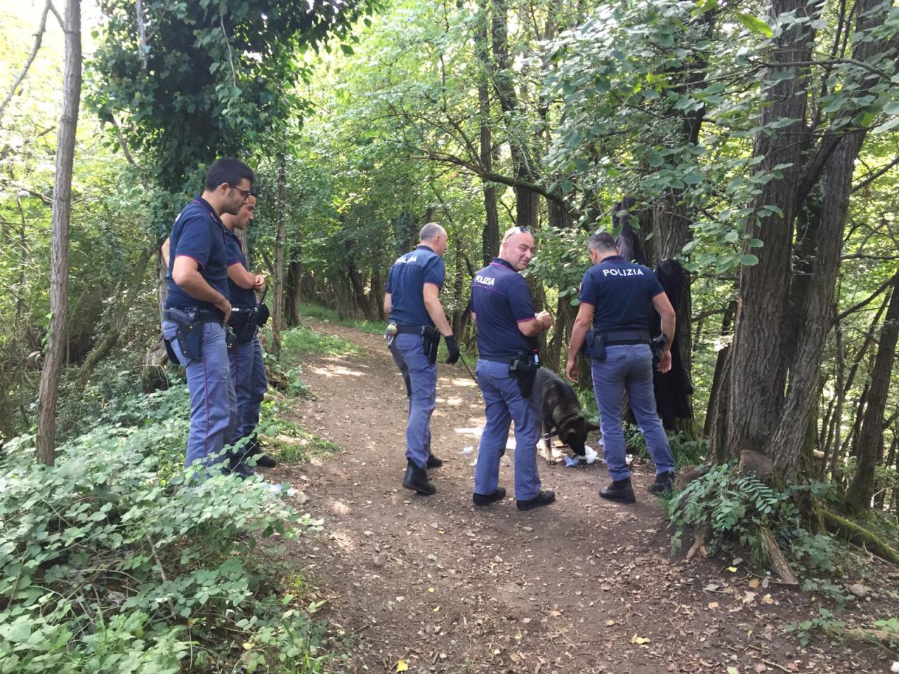 Poliziotti nel bosco della droga: beccato uno spacciatore FOTO