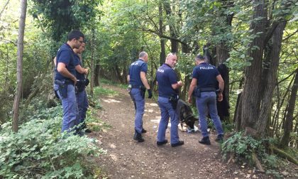 Poliziotti nel bosco della droga: beccato uno spacciatore FOTO