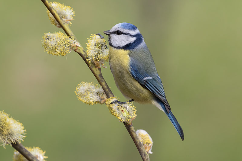 La Riserva Naturale Pian di Spagna spiegata ai bambini