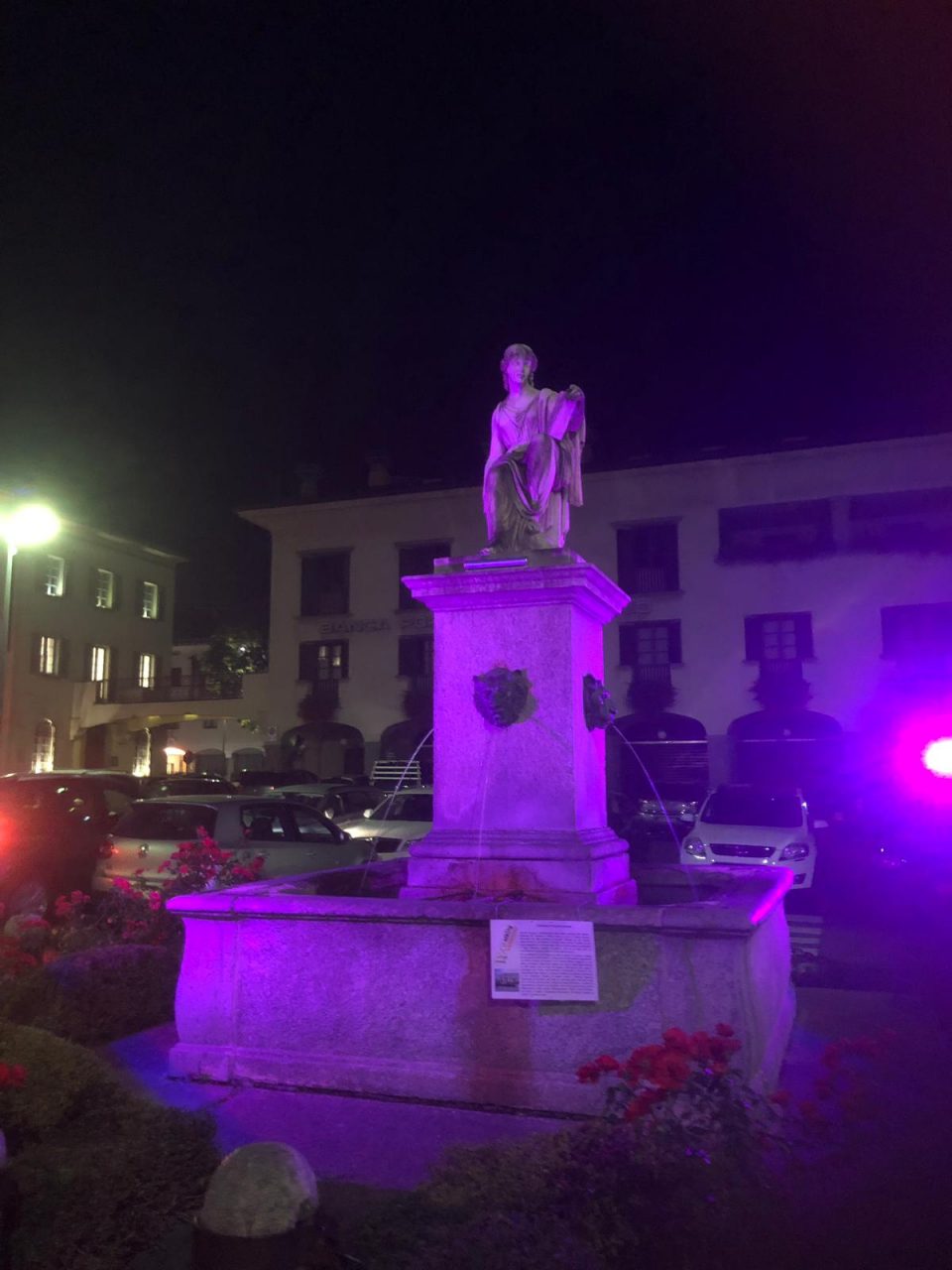 Tirano diventa rosa