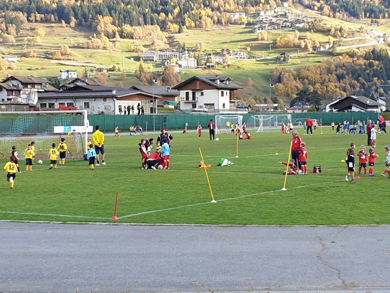 Raggruppamento dei Pulcini