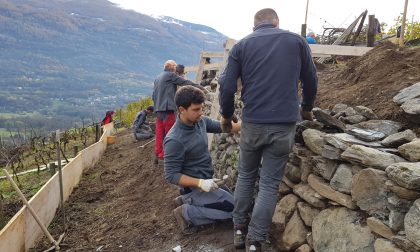 Muretti a secco da salvare, tante le adesioni: il corso raddoppia