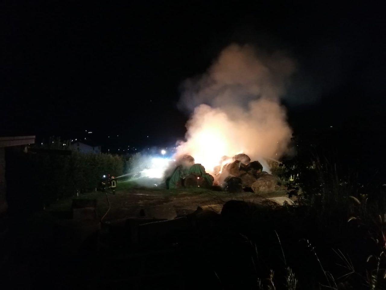 “Salviamo la fattoria Prebottoni”