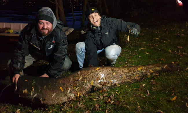 Nell’Adda pescato un siluro da record