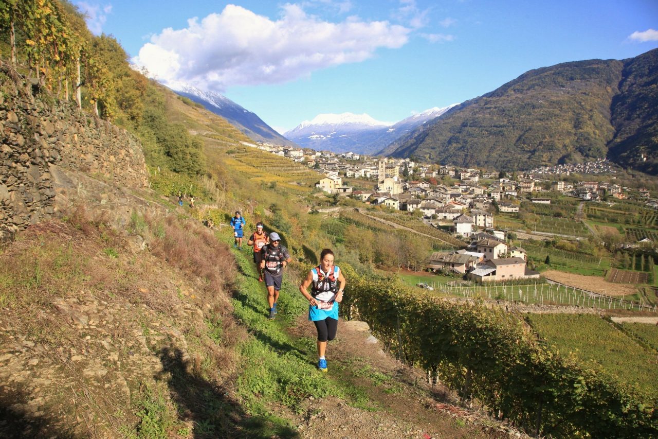 Valtellina Wine Trail: l’ottava edizione ai nastri di partenza
