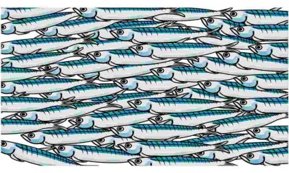In Valtellina si preparano le sardine