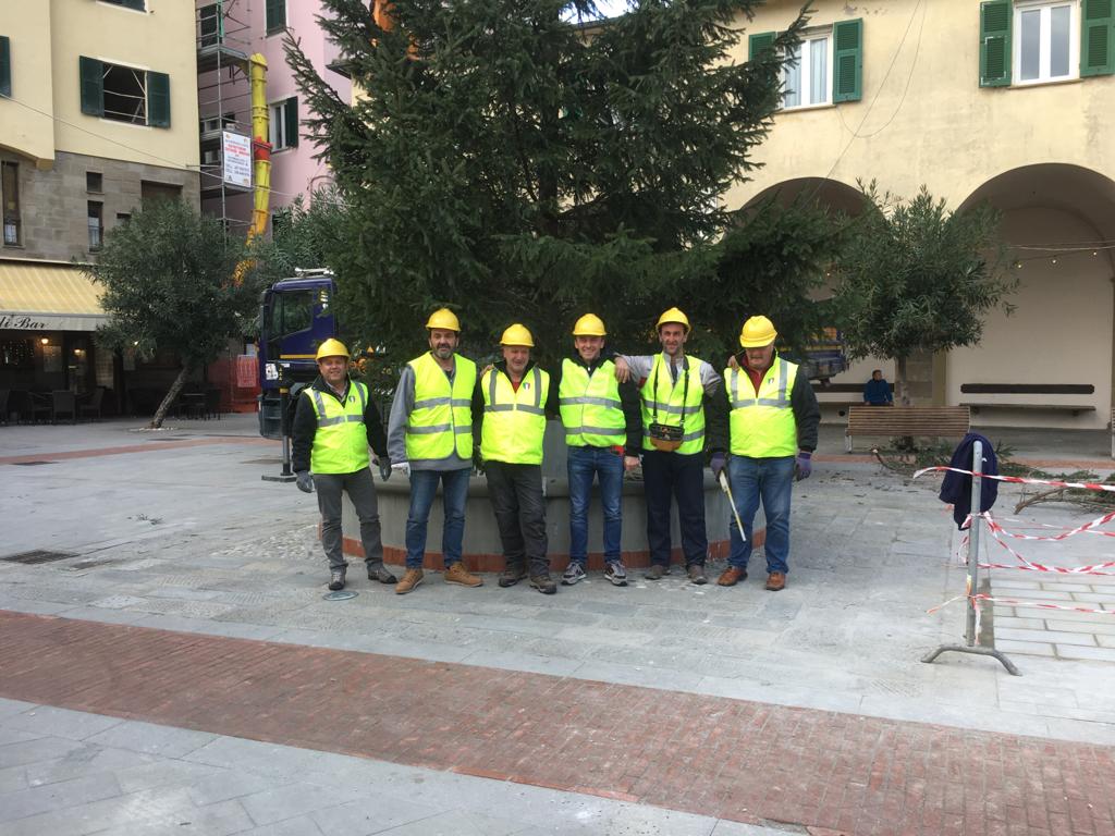 Un abete malenco donato a Monterosso
