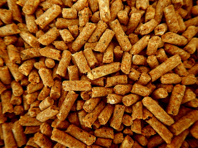 Caro energia: in Regione chiedono sostegno a chi si scalda con la stufa a pellet