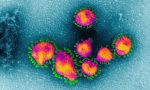 Coronavirus: una seconda vittima in Valtellina