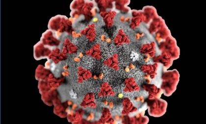 Coronavirus: sale a 9 il numero delle vittime, 31 nuovi contagi in provincia MAPPA