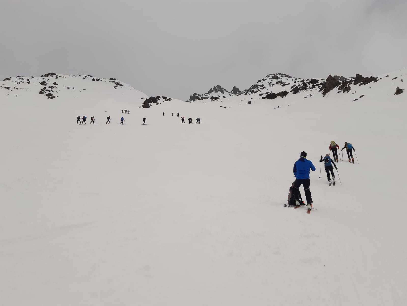 sci valfurva cai sci alpinismo turismo (4)