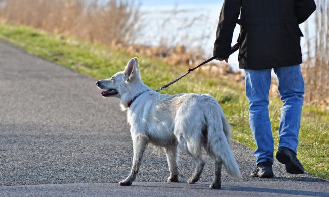 Coronavirus: nessun divieto per le passeggiate
