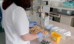 Coronavirus in Valtellina: 31 nuovi casi positivi MAPPA COMUNE PER COMUNE