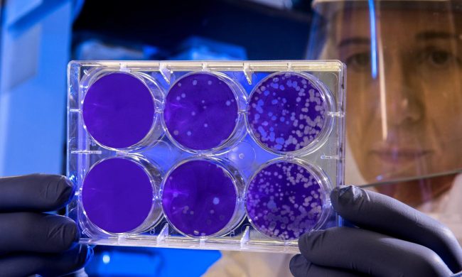 Coronavirus in Valtellina: aumentano i contagi, 41 nuovi casi positivi