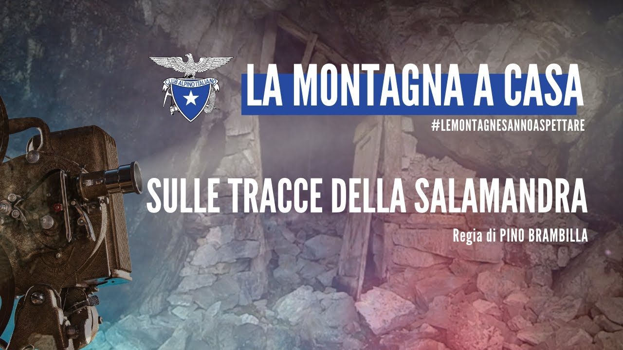Questa sera documentario sulla “Salamandra” della Valmalenco