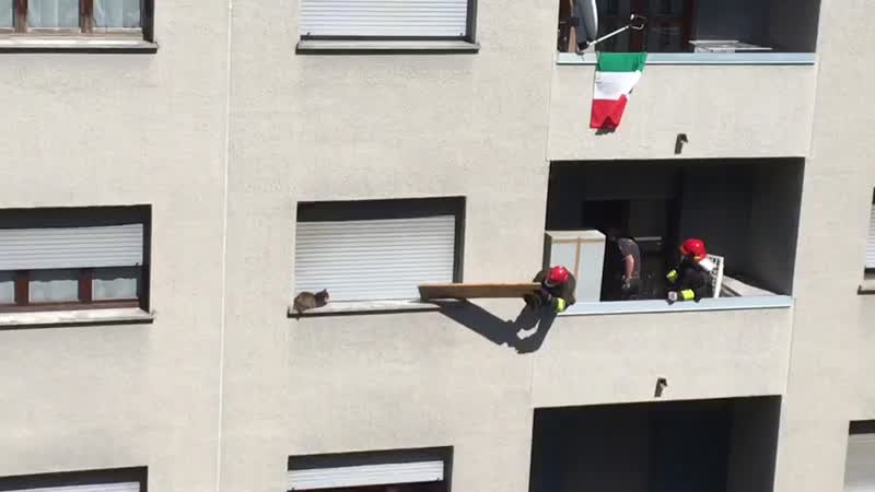 Gatta salvata dai Vigili del Fuoco VIDEO