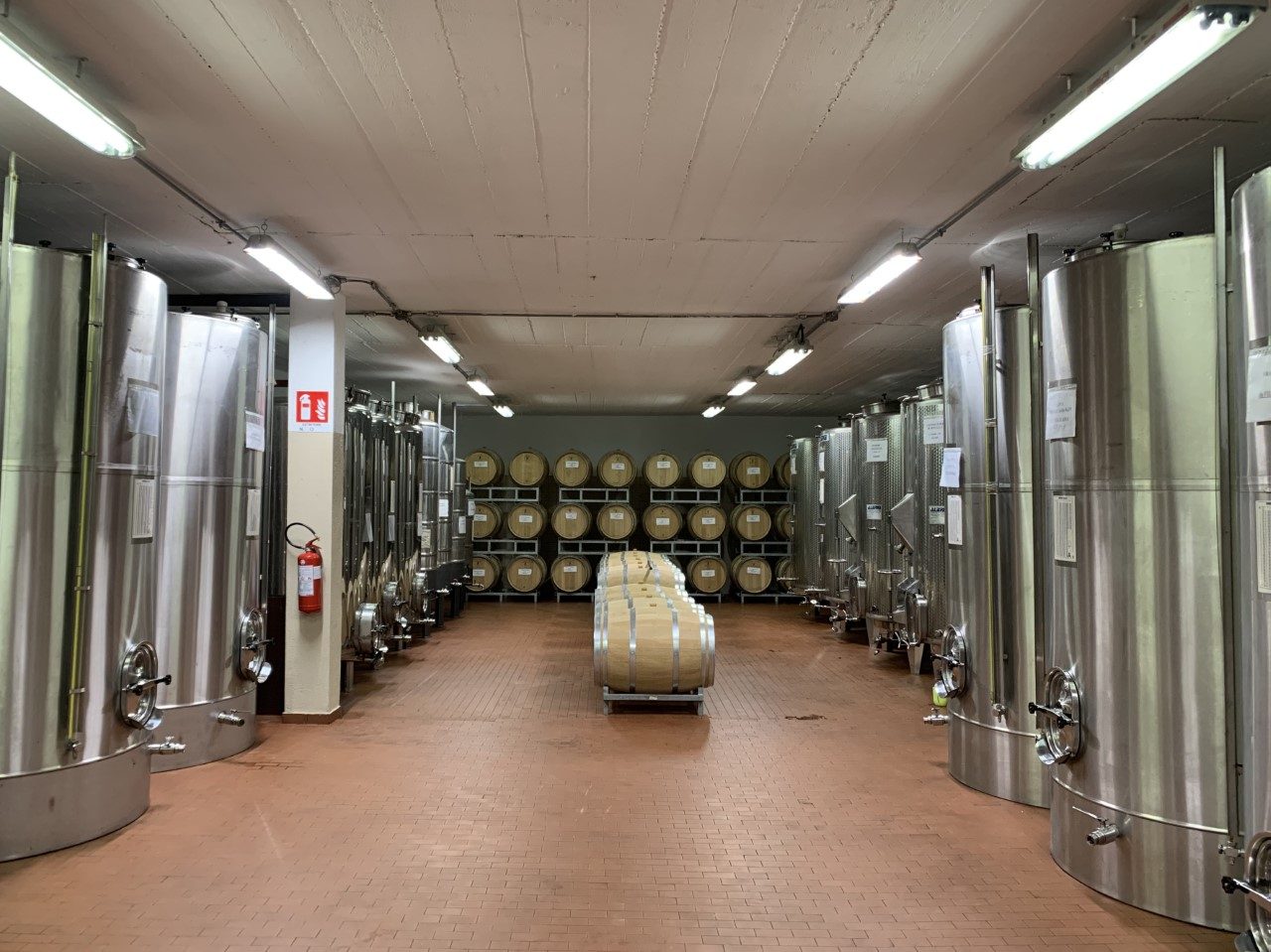 Prodotto igienizzante a base di alcool “made in Valtellina”