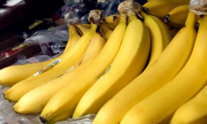 Cocaina nelle casse di banane in Svizzera
