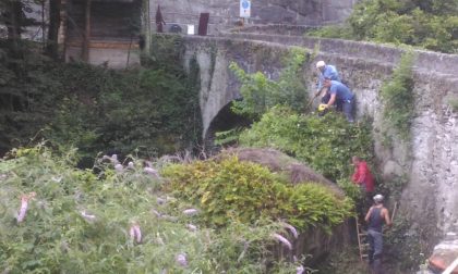 L'associazione Amici di Arquino ha liberato dalle sterpaglie l'antico ponte in pietra sul Mallero