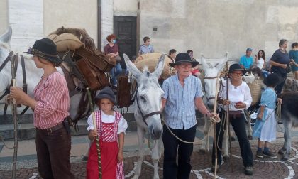 Dalla Svizzera a piedi fino in piazza Basilica