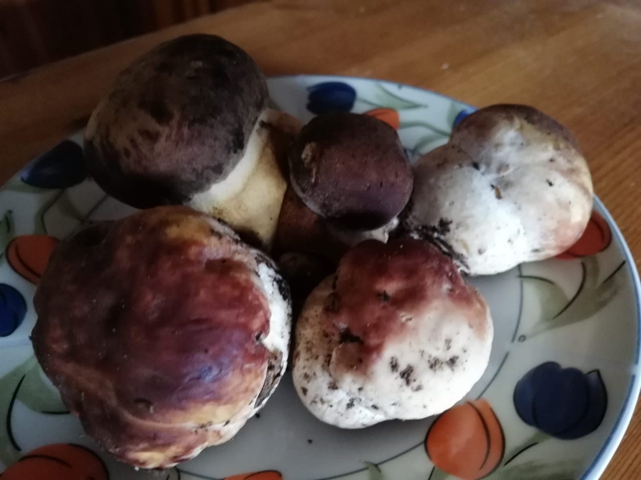 Esperti si ritrovano per il culto del fungo