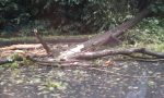 Nubifragio in valtellina: piogge e forti venti, soccorsi in azione per aliante in difficoltà VIDEO