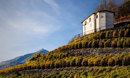 Al via la seconda edizione di "Mangiar per vigne in Valtellina"