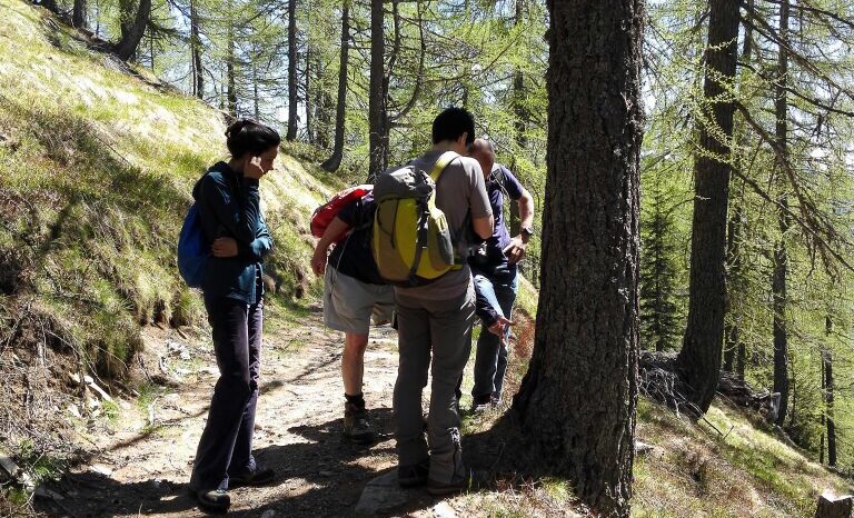 Parco delle Orobie: sabato e domenica torna “Bioblitz Lombardia”