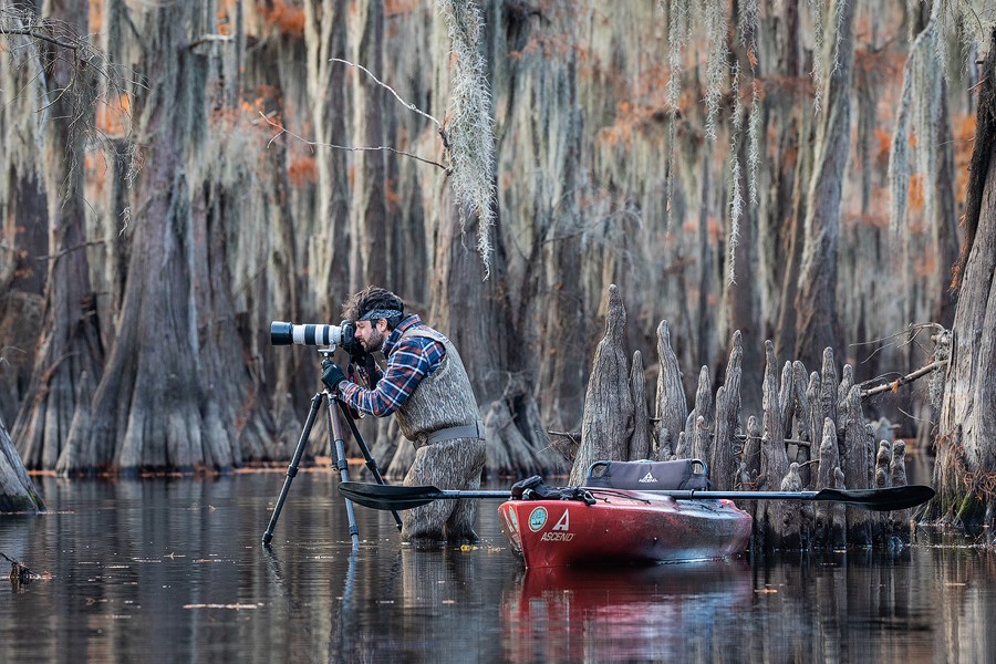 Andrea Pozzi è il fotografo dell’anno per il concorso BBC Wildlife