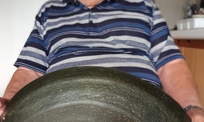 Il signor Renzo coltiva uno zucchino da record