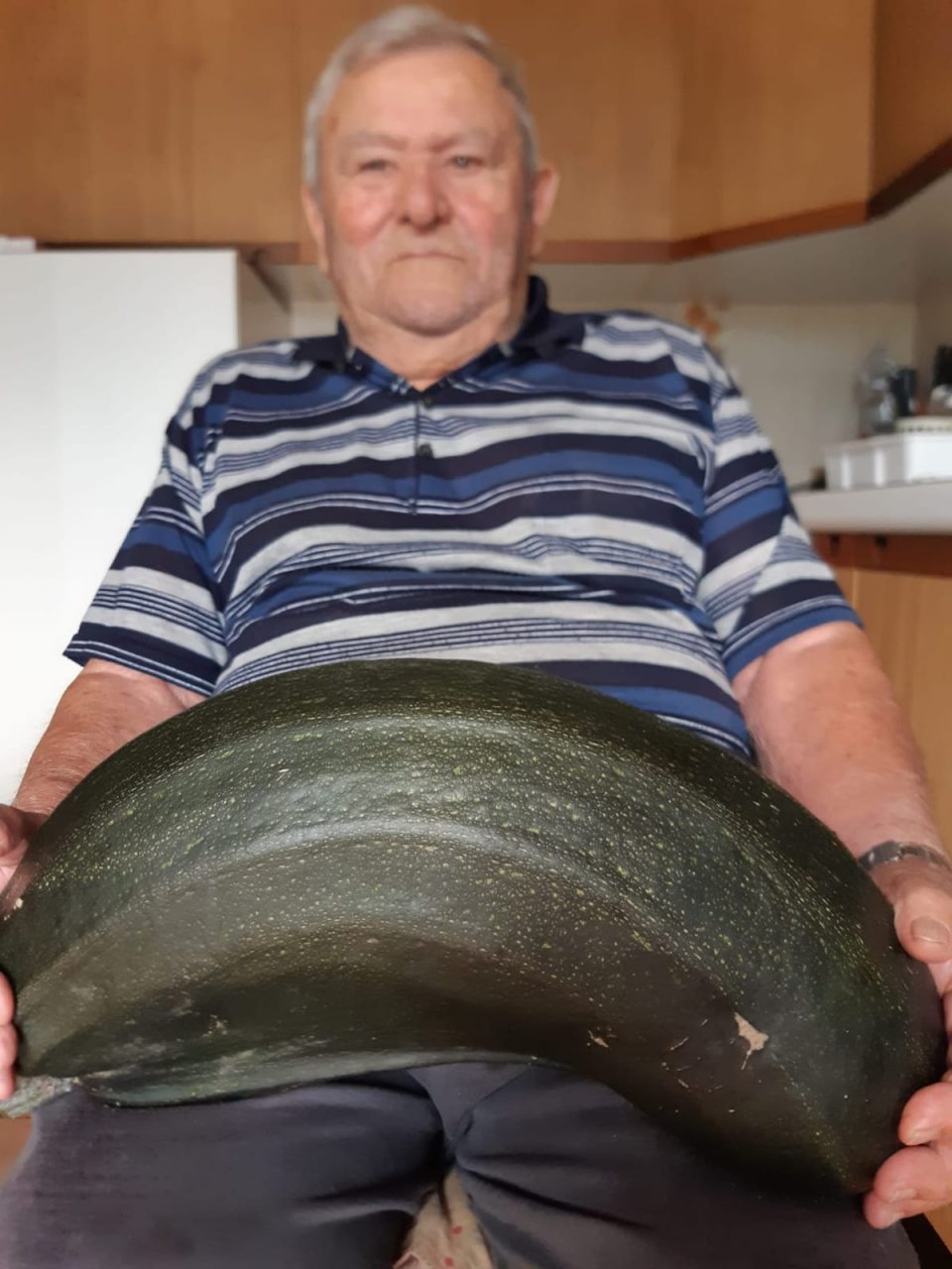 Il signor Renzo coltiva uno zucchino da record