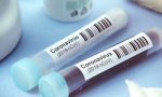 Coronavirus in Valtellina: 42 nuovi casi in 24 ore