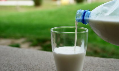 Iperal e le Latterie di Chiuro e Delebio insieme per sostenere i produttori di latte