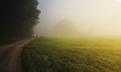 Soleggiato e temperature miti, ma ancora nebbie e foschie | Meteo Lombardia
