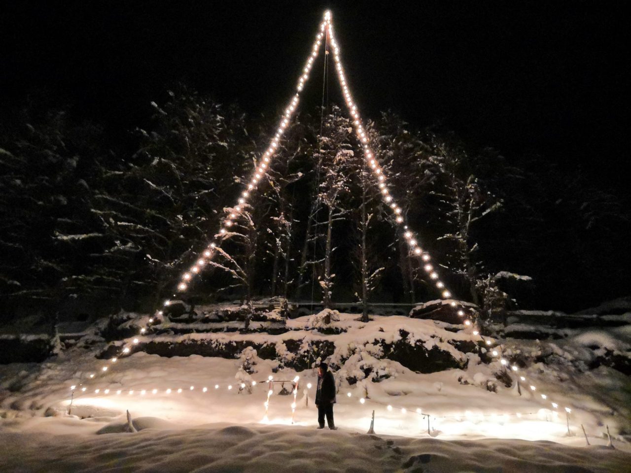 Un maestoso albero di Natale illuminato al piano della Reit