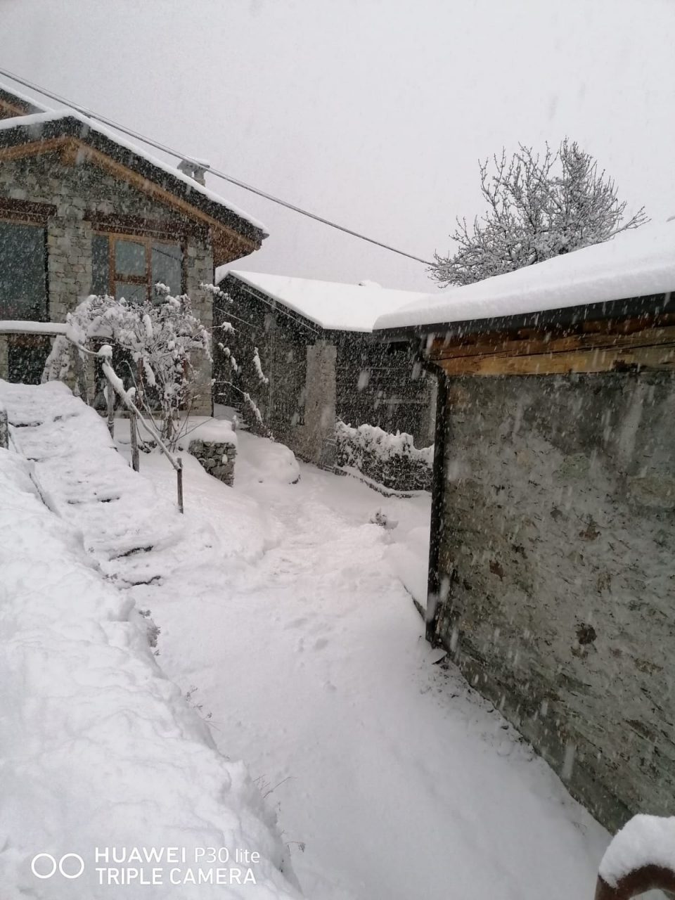 La neve a bassa quota è uno spettacolo FOTO