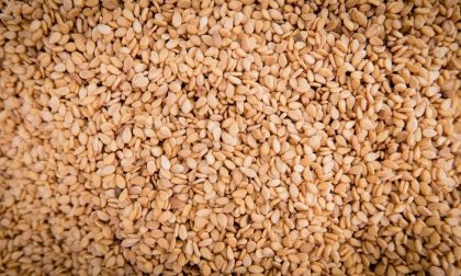 Richiamo alimentare: ossido di etilene (cancerogeno) nei semi di sesamo dal Polesine