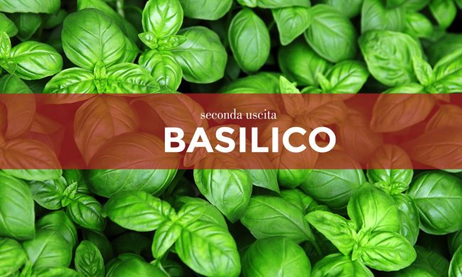 Tutti ortisti: domani in regalo con Centro Valle i semi di basilico