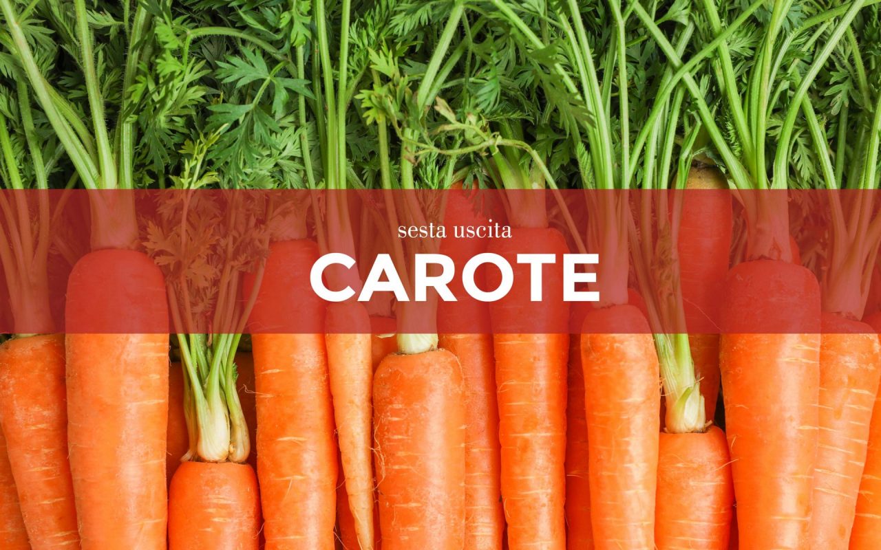 In regalo con Centro Valle ci sono i semi di carota