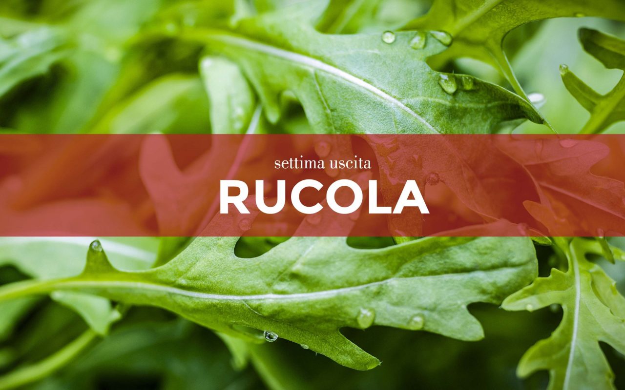 Facciamo l’orto in casa: semi di rucola in regalo con Centro Valle