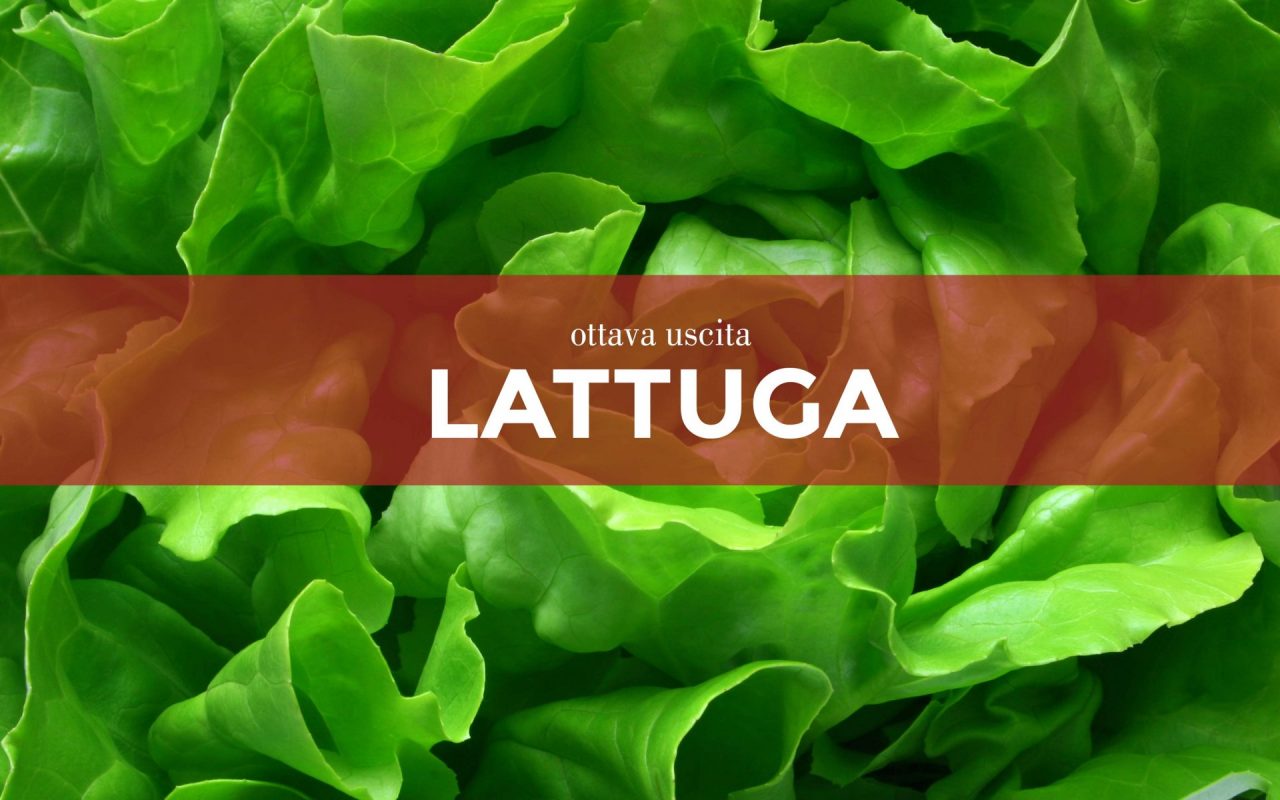 I semi di lattuga in regalo con Centro Valle