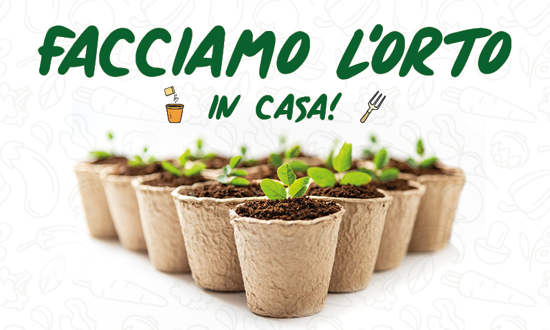 Facciamo l’orto in casa! In regalo con Centro Valle
