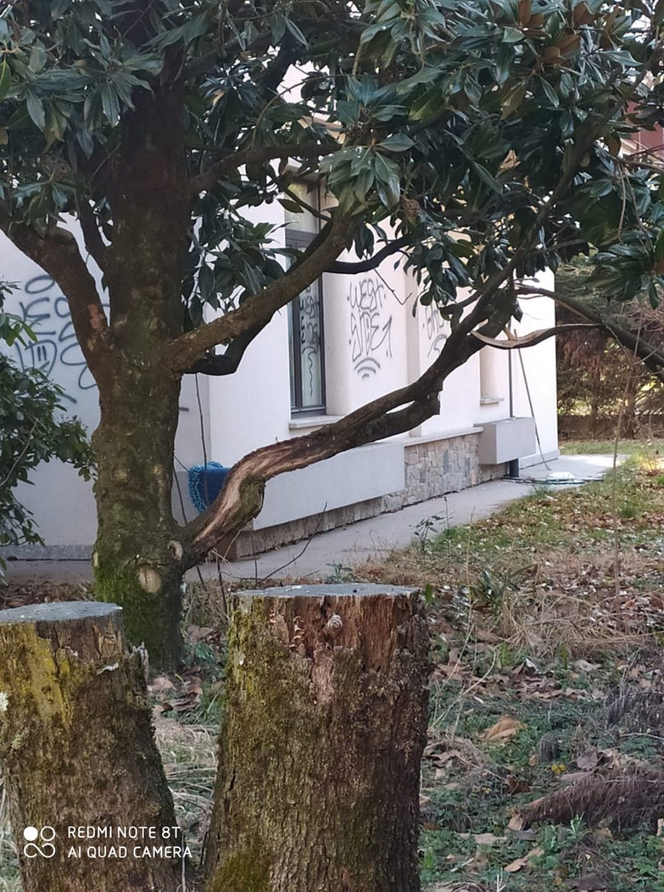 Imbrattava i muri, beccato