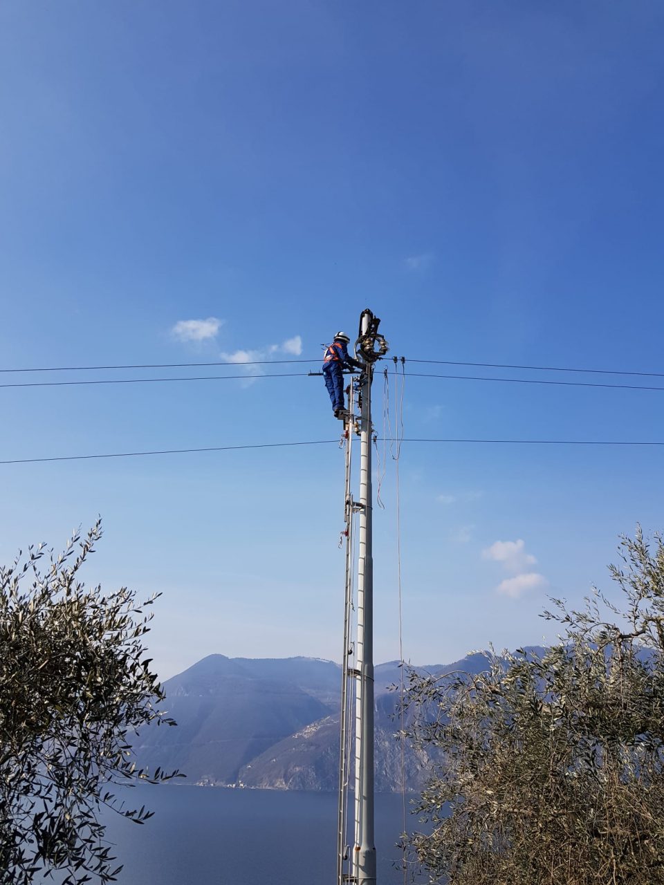 Il Parco Stelvio attivo nel progetto che salva gli uccelli
